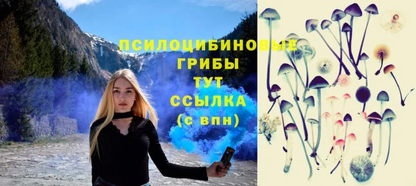 а пвп мука Баксан