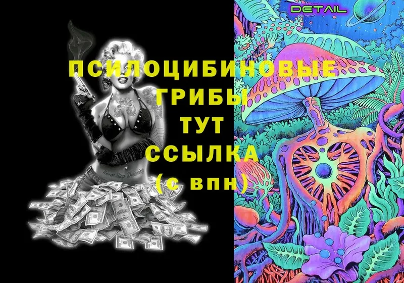 Псилоцибиновые грибы MAGIC MUSHROOMS  Билибино 