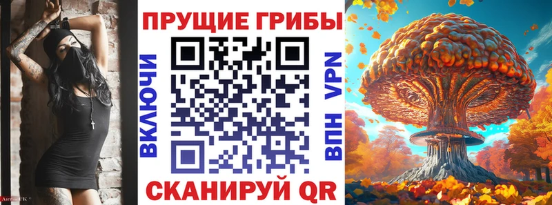 купить наркотики сайты Билибино Псилоцибиновые грибы MAGIC MUSHROOMS
